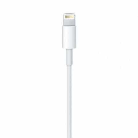 Câble Lightning vers USB (1 m)