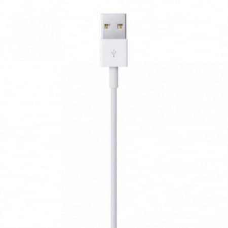 Câble Lightning vers USB (1 m)